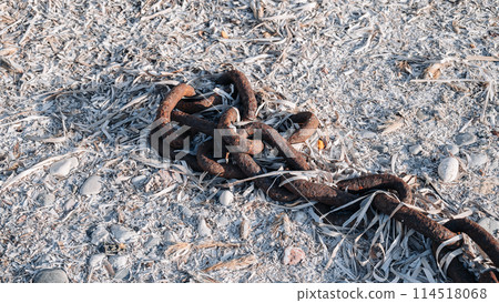 Big rusty skimpy chain on the rocks. 114518068