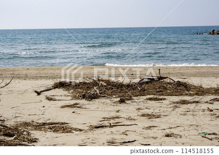 Garbage thrown up on a sandy beach Garbage thrown up on a sandy beach 114518155