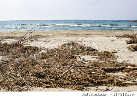 Garbage thrown up on a sandy beach 114518159
