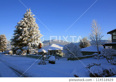 Burnaby, British Columbia, on a sunny winter day 114518929