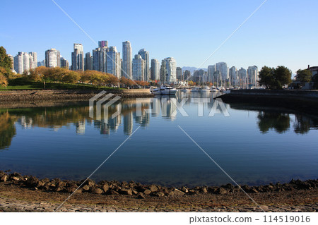 False Creek, Granville Island and downtown Vancouver. British Columbia, Canada 114519016