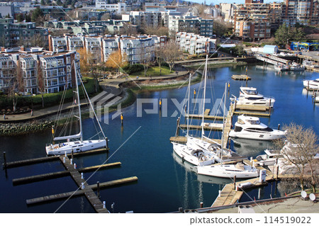 False Creek and Granville Island. Vancouver, British Columbia, Canada 114519022