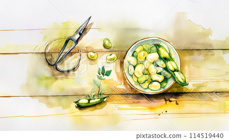 Watercolor of fresh and raw green broad beans on wooden table Watercolor of fresh and raw green broad beans on wooden table 114519440