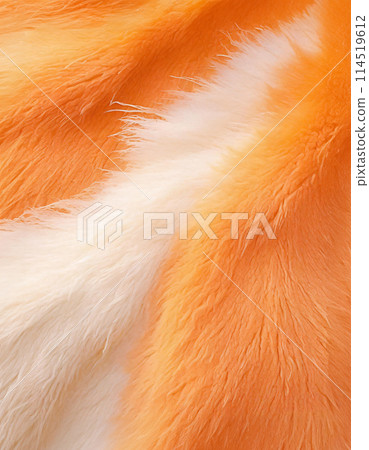 A close-up of soft, fluffy fur in shades of white and orange, showcasing intricate textures and patterns 114519612