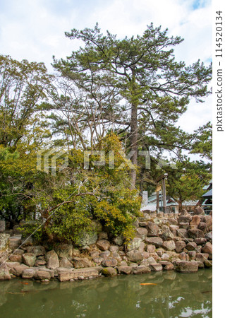 Nishinomiya Shrine 114520134