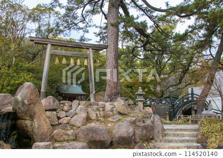 Nishinomiya Shrine Nishinomiya Shrine 114520140