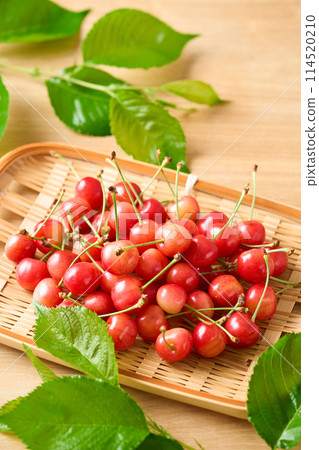 Cherries (Sato Nishiki from Yamagata Prefecture) served in a colander 114520210