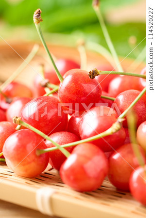 漏杓櫻桃（山形縣佐藤錦） 114520227