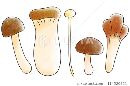 Loose and simple classic mushroom set, analog style 114520231