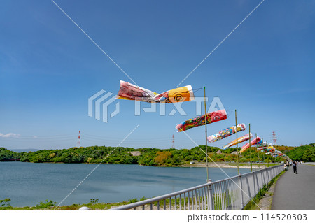 三重縣四日市，伊坂壩湖面和初夏的鯉魚旗 114520303