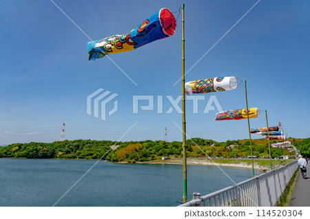 The lake surface and carp streamers at Isaka Dam in early summer in Yokkaichi City, Mie Prefecture 114520304