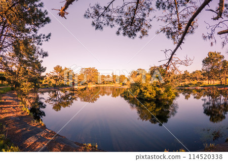 Bucaquinho Natural Park 114520338