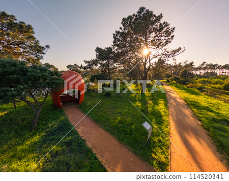 Bucaquinho Natural Park 114520341