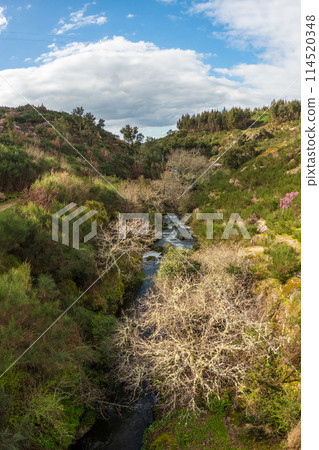 View over the Cavalo River 114520348