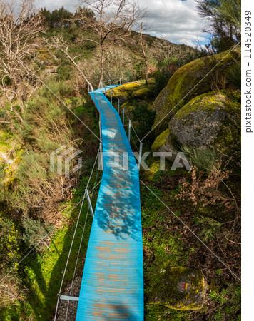 Walkway trilho dos Gaios Walkway trilho dos Gaios 114520349