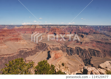Panoramic view of Grand Canyon, Arizona, USA. Capturing stunning layers of red rock, deep gorges, greenery, and clear blue skies. Popular tourist destination renowned for immense scale. Panoramic view of Grand Canyon, Arizona, USA. Capturing stunning layers of red rock, deep gorges, greenery, and clear blue skies. Popular tourist destination renowned for immense scale. 114520477