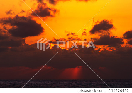 twilight twilight 114520492