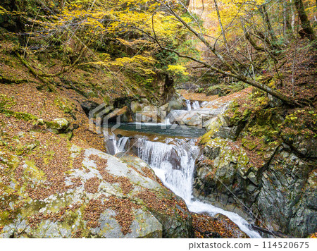 Nishizawa Valley Autumn Image 1 Nishizawa Valley Autumn Image 1 114520675