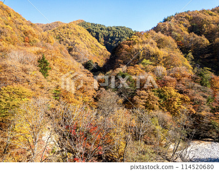 Nishizawa Valley in the late autumn Nishizawa Valley in the late autumn 114520680