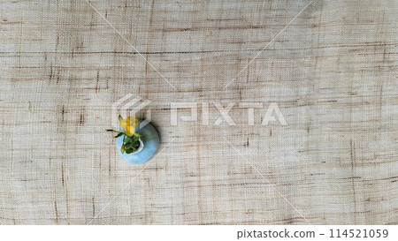spring garden spring garden 114521059