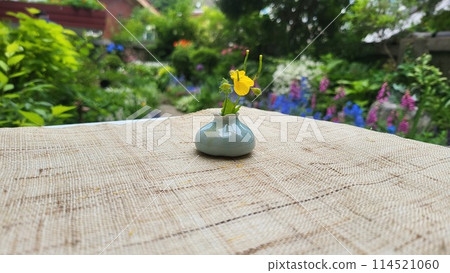 spring garden spring garden 114521060