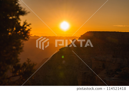Serene sunset with golden glow showcasing silhouette of tree branch, rugged terrain, distant ridges, and dreamy lens flare. Ideal for nature lovers and landscape enthusiasts. Serene sunset with golden glow showcasing silhouette of tree branch, rugged terrain, distant ridges, and dreamy lens flare. Ideal for nature lovers and landscape enthusiasts. 114521418