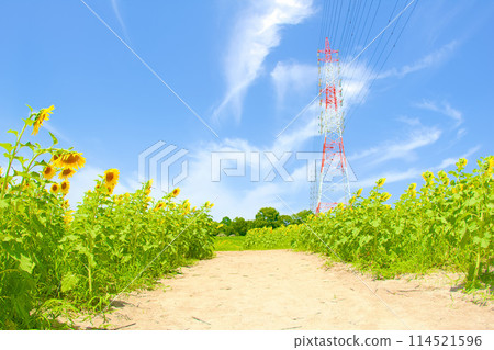 [愛知縣] 日新市愛知農場的向日葵田 114521596