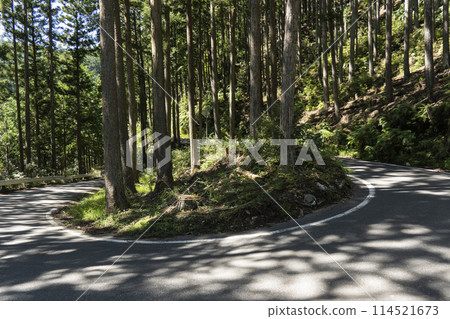 夏日的山路，陽光透過樹林 114521673