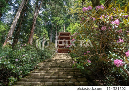 透過杜鵑花仰望五層寶塔 114521802