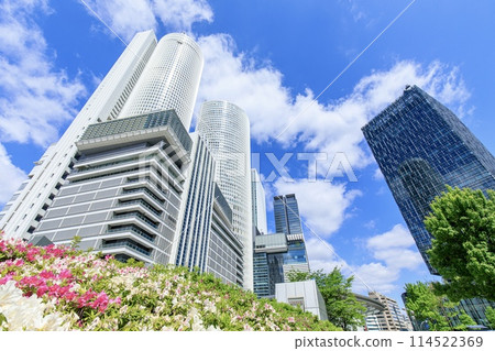 JR Central Towers and azalea flowers in full bloom 114522369