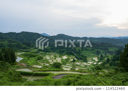 Niigata Hoshitoge rice terraces 114522460
