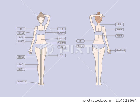 Illustration of female hair removal, whole body Illustration of female hair removal, whole body 114522664