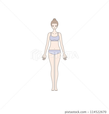 Female illustration fitness beauty whole body Female illustration fitness beauty whole body 114522670
