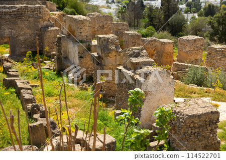 Ruins of house of Hannibal at the excavations of Carthage 114522701