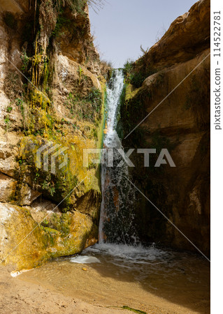 There is waterfall surrounded by poor vegetation among light stone rocks in Tamerza oasis, Tunisia There is waterfall surrounded by poor vegetation among light stone rocks in Tamerza oasis, Tunisia 114522781