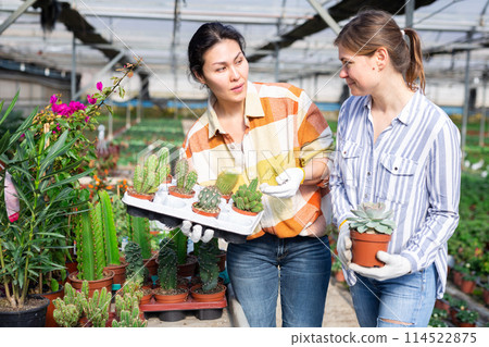 Two women farmers are discussing work issues, holding a cassette with cacti Two women farmers are discussing work issues, holding a cassette with cacti 114522875