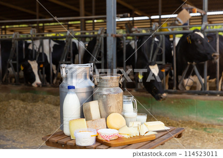 Image of dairy products on the farm 114523011