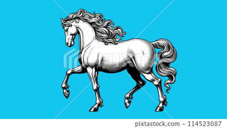 White horse walking drawing on blue BG White horse walking drawing on blue BG 114523087