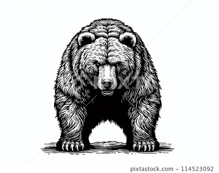 Monochrome woodcut of bear front view on white BG 114523092