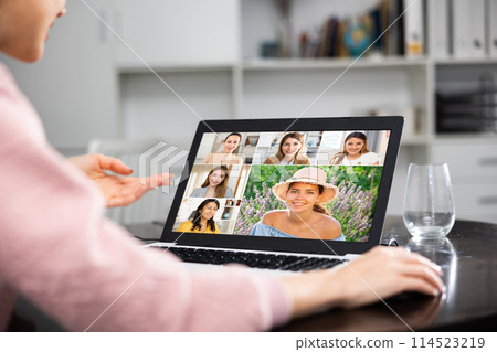 Manager holding online meeting on laptop Manager holding online meeting on laptop 114523219