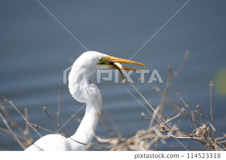 A shrine A shrine 114523318