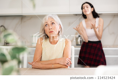 Young woman quarrels with elderly woman in kitchen 114523424