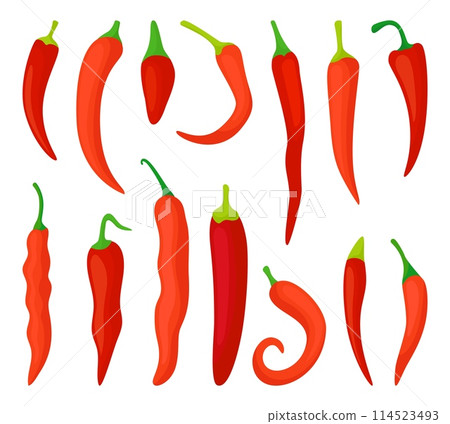 Cartoon chilli peppers. Different red pepper, mexican hot fresh raw ingredient for tasty dishes. Natural spice, vegetables neoteric vector set Cartoon chilli peppers. Different red pepper, mexican hot fresh raw ingredient for tasty dishes. Natural spice, vegetables neoteric vector set 114523493