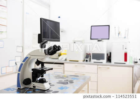 Digital trinocular microscope standing on table in veterinary clinic laboratory Digital trinocular microscope standing on table in veterinary clinic laboratory 114523551