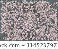 Fantastically beautiful cherry blossoms in full bloom on a blue-gray background 114523797