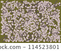 Fantastically beautiful cherry blossoms in full bloom on an olive background 114523801