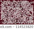 Fantastically beautiful cherry blossoms in full bloom on a red velvet background 114523820