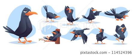 Black crows. Funny cartoon birds in different poses flying and standing exact vector crows 114524396