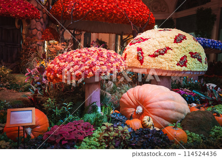 Vibrant, whimsical indoor garden scene in Las Vegas with oversized mushroom structures covered in flowers, pumpkins, and lush foliage. Enchanting display. Vibrant, whimsical indoor garden scene in Las Vegas with oversized mushroom structures covered in flowers, pumpkins, and lush foliage. Enchanting display. 114524436