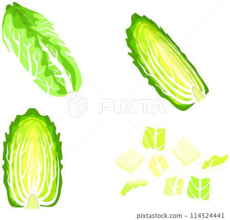 大白菜卡通套 大白菜卡通套 114524441